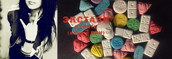 ECSTASY Богданович